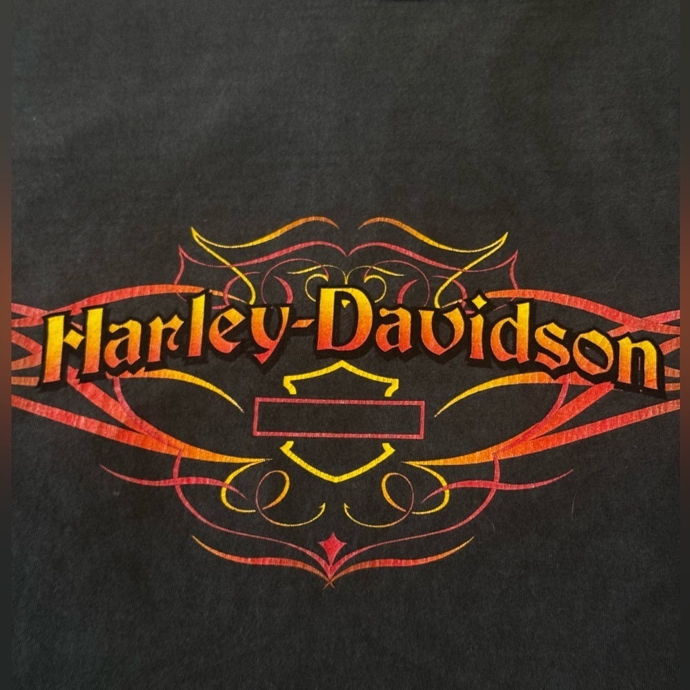 Vintage Harley-Davidson Flame Eagle Print H-D Burton, MI Cropped boxy Fit 3XL - Picture 4 of 6